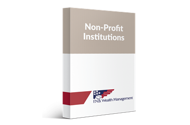 Non-Profit Institutions box