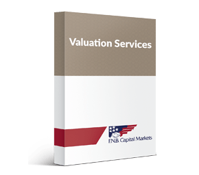 Valuation Advisory Services