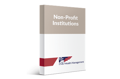 Non-Profit Institutions box