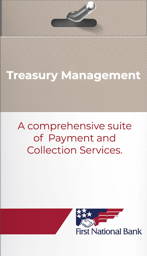 Treasury Management